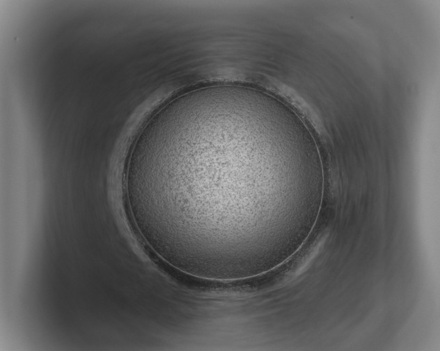 X0000101960625200807251155