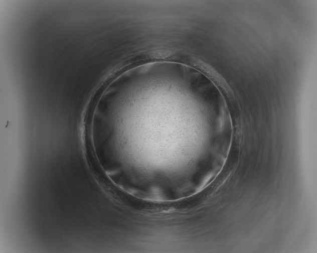 X0000101960626200807251155