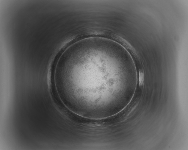 X0000101960627200807251155