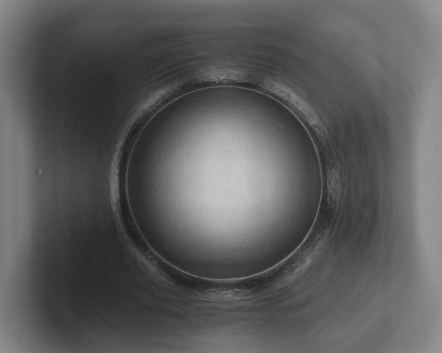 X0000101960629200807251155