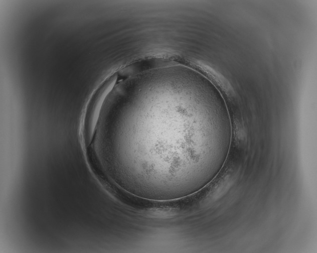 X0000101960630200807251155