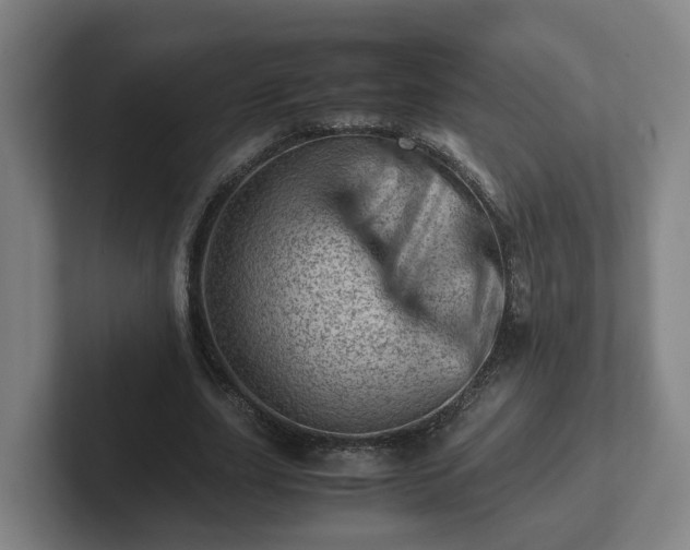 X0000101960631200807251155