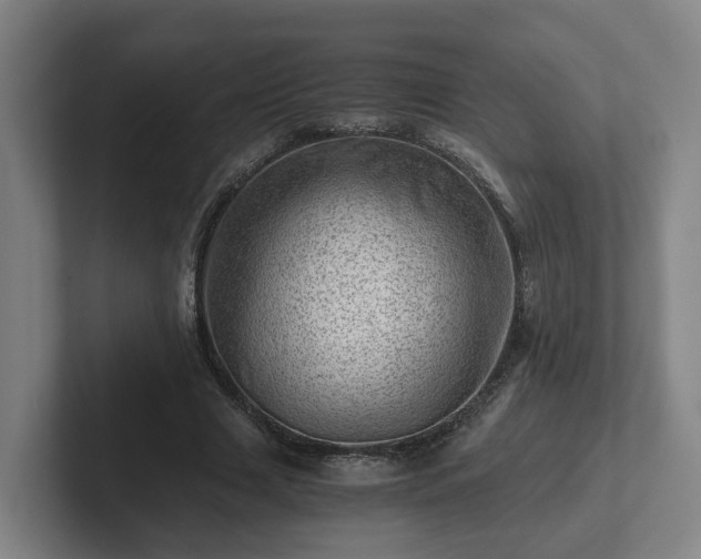 X0000101960633200807251155