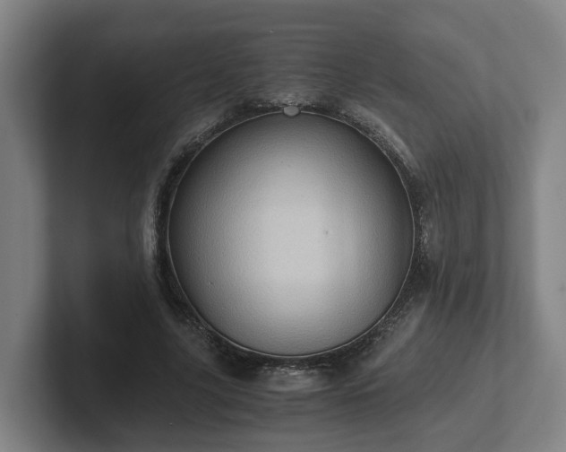 X0000101960635200807251155