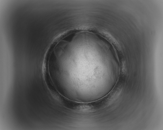 X0000101960636200807251155