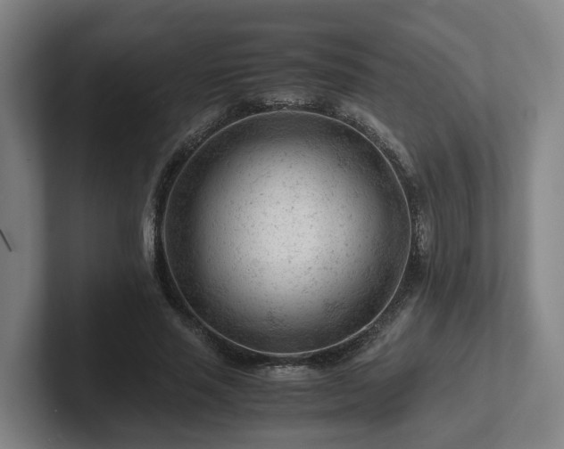 X0000101960637200807251155