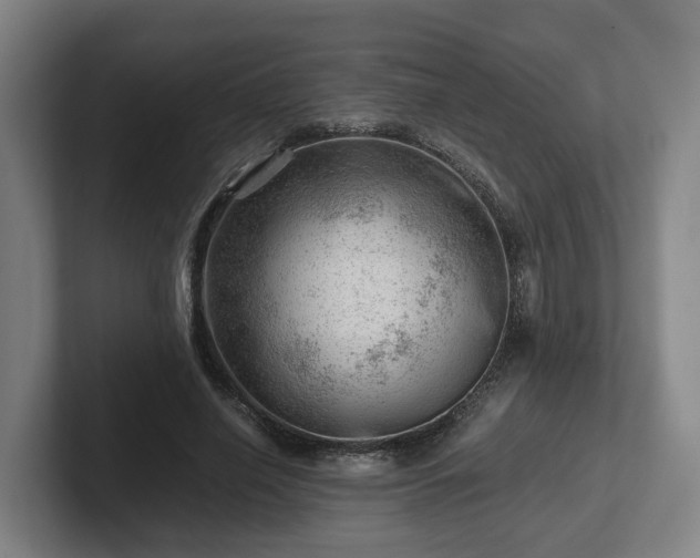 X0000101960638200807251155