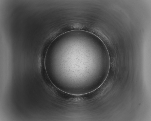 X0000101960639200807251155