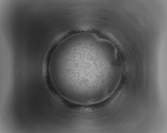 X0000101960640200807251155