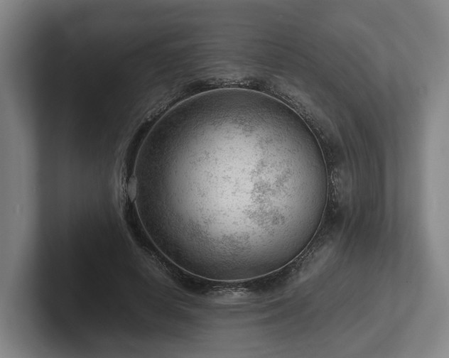 X0000101960642200807251155