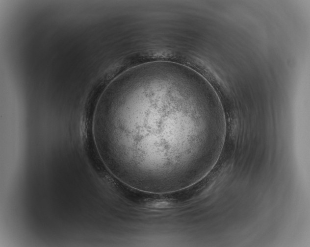 X0000101960643200807251155