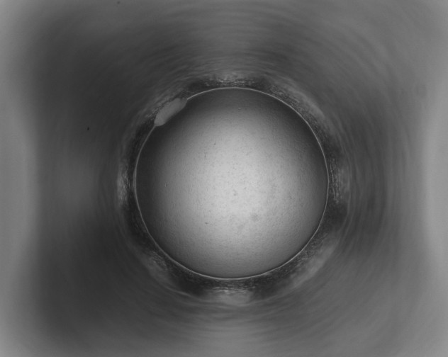 X0000101960644200807251155