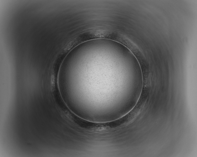 X0000101960646200807251155