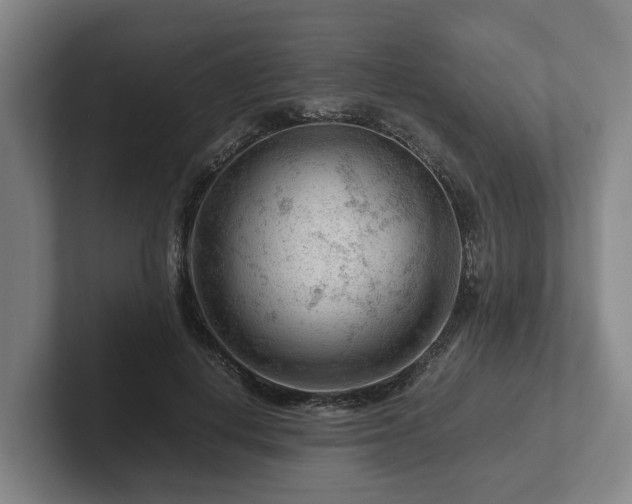 X0000101960648200807251155