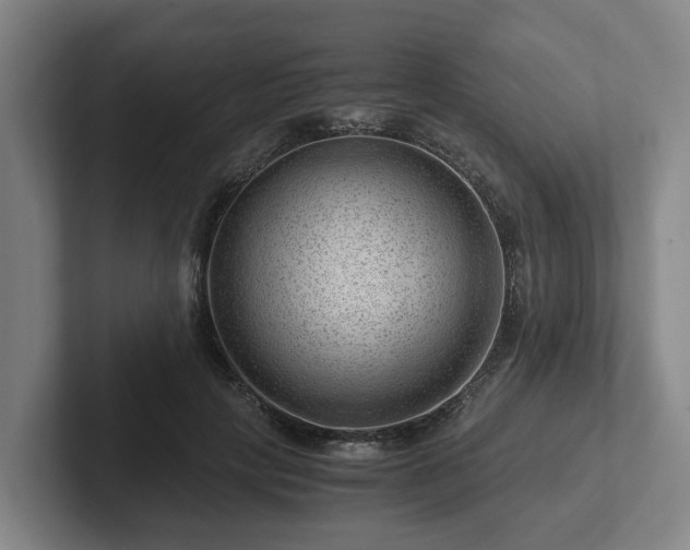 X0000101960649200807251155