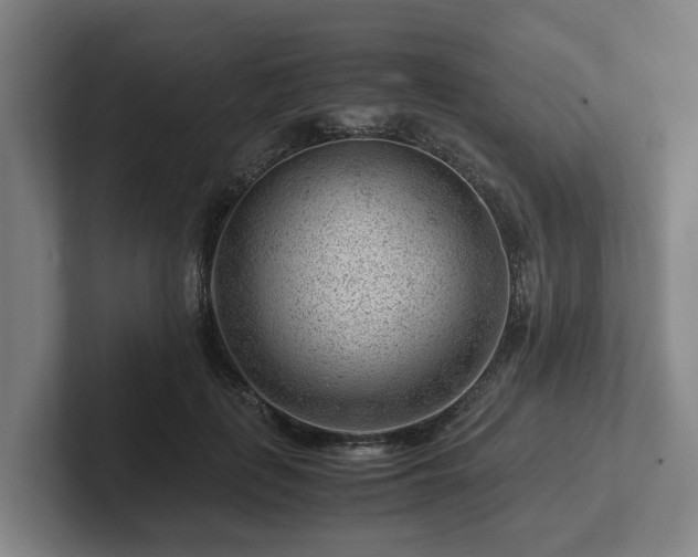 X0000101960651200807251155