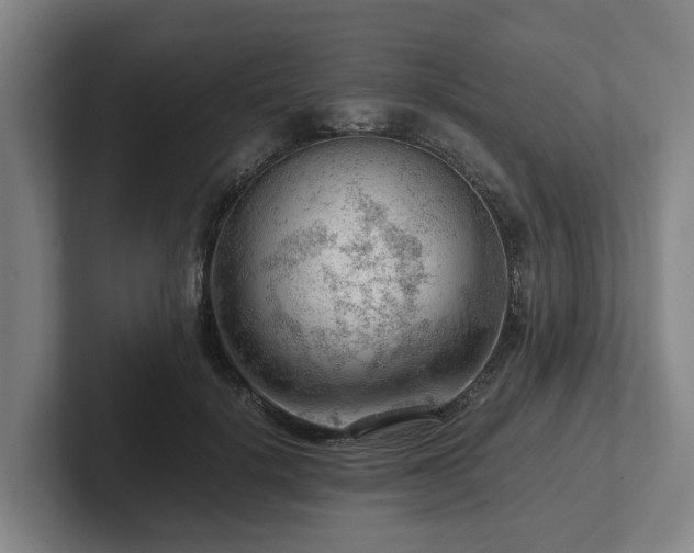 X0000101960652200807251155