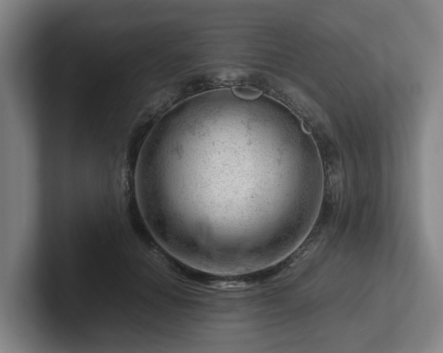 X0000101960654200807251155