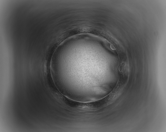 X0000101960655200807251155