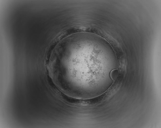 X0000101960656200807251155