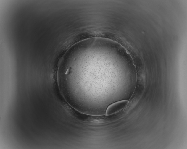 X0000101960658200807251155