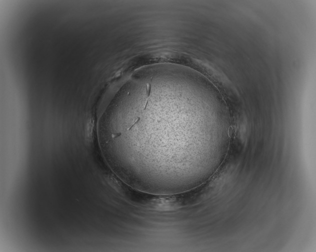 X0000101960660200807251155