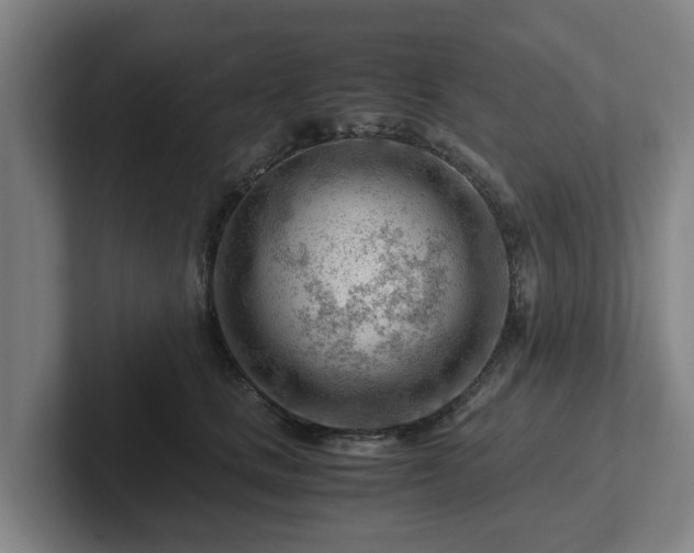 X0000101960661200807251155