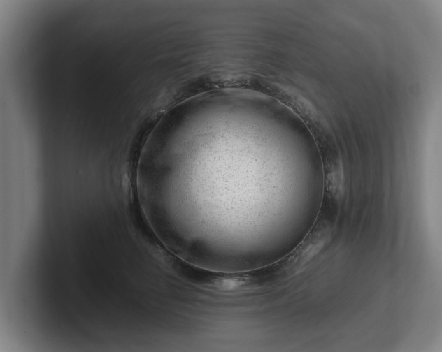 X0000101960662200807251155