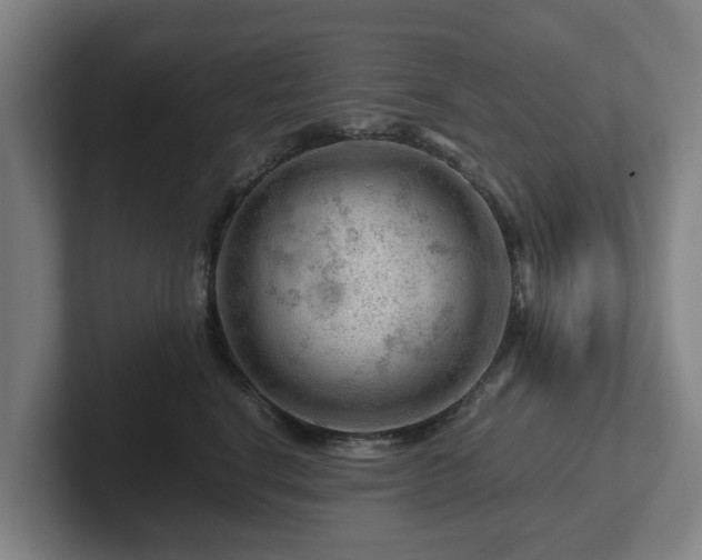 X0000101960664200807251155