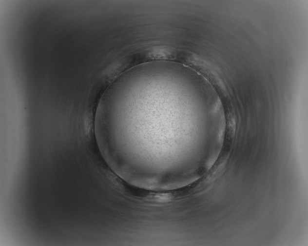 X0000101960665200807251155