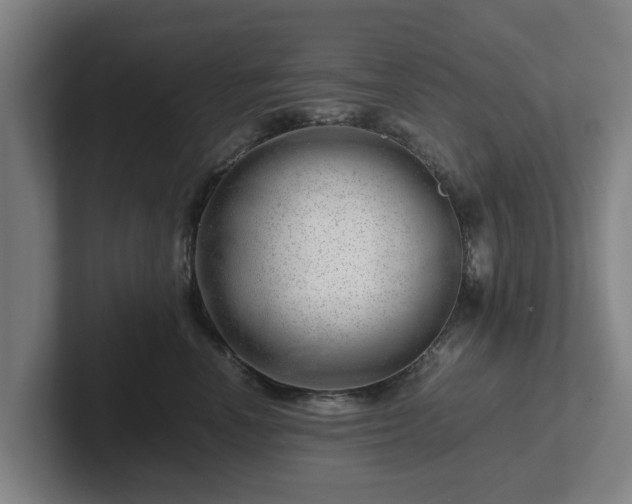 X0000101960666200807251155