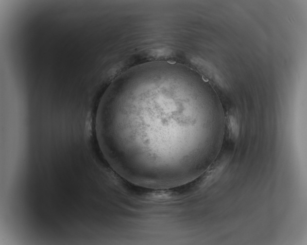 X0000101960668200807251155