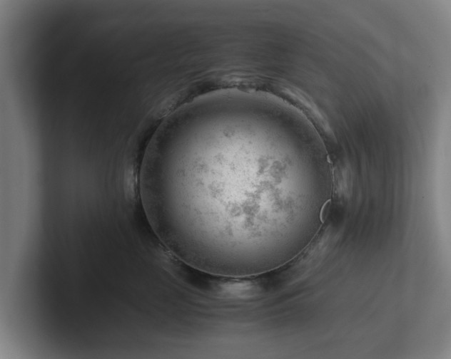 X0000101960669200807251155