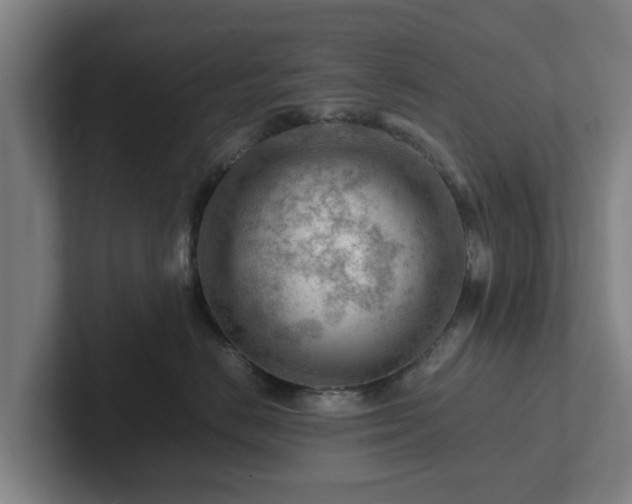 X0000101960670200807251156