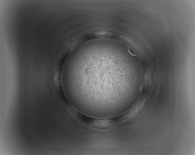 X0000101960671200807251156