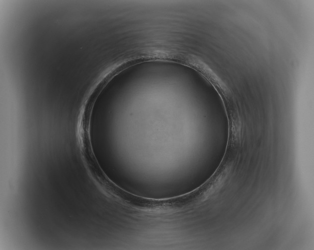 X0000101960674200807251155