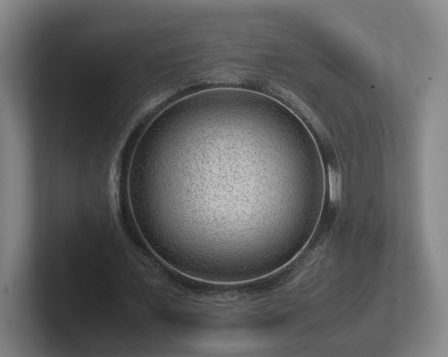 X0000101960675200807251155