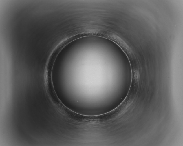 X0000101960676200807251155