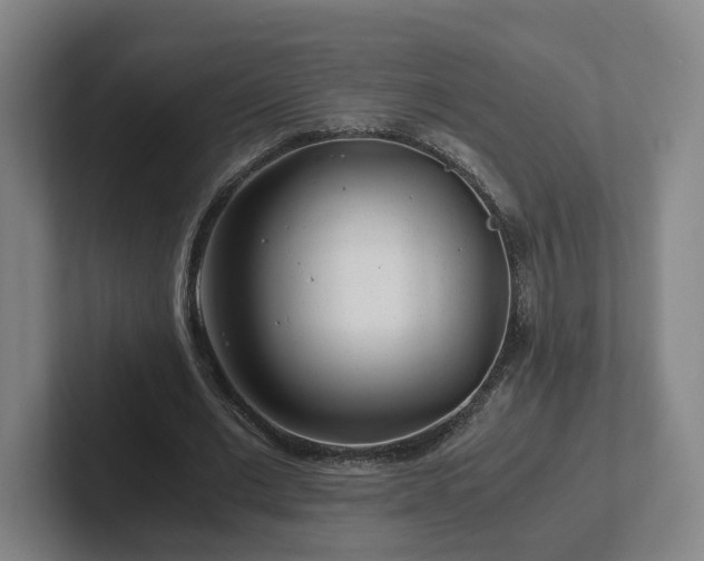 X0000101960677200807251155