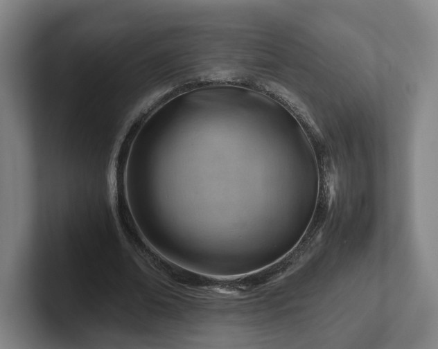 X0000101960678200807251155