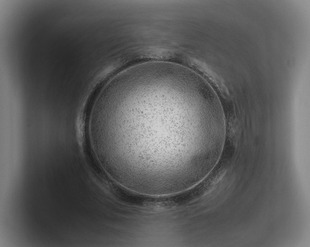 X0000101960679200807251155