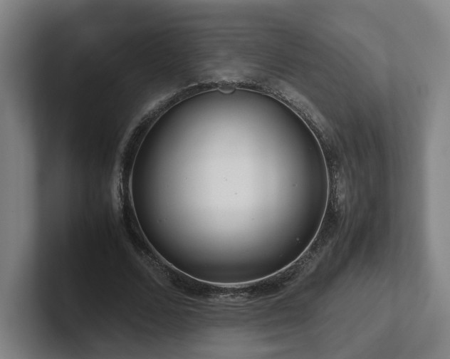 X0000101960680200807251155