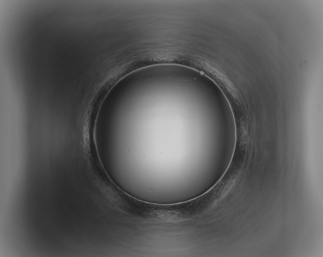 X0000101960681200807251155