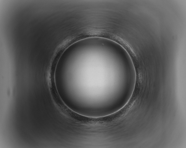 X0000101960682200807251155