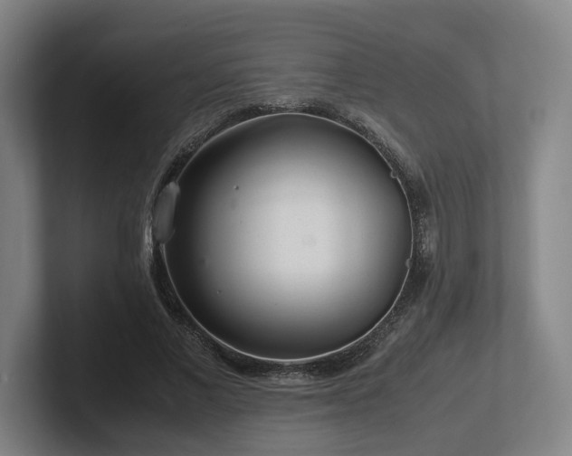 X0000101960685200807251155