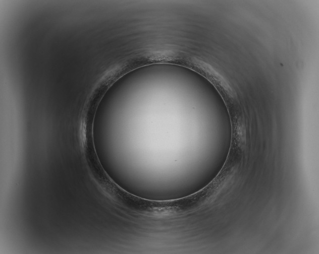 X0000101960686200807251155