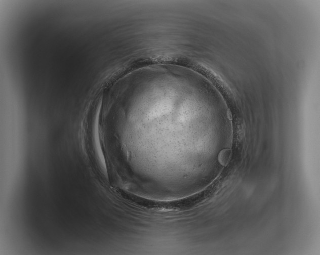 X0000101960687200807251155