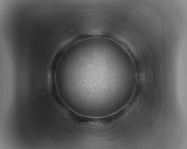 X0000101960688200807251155