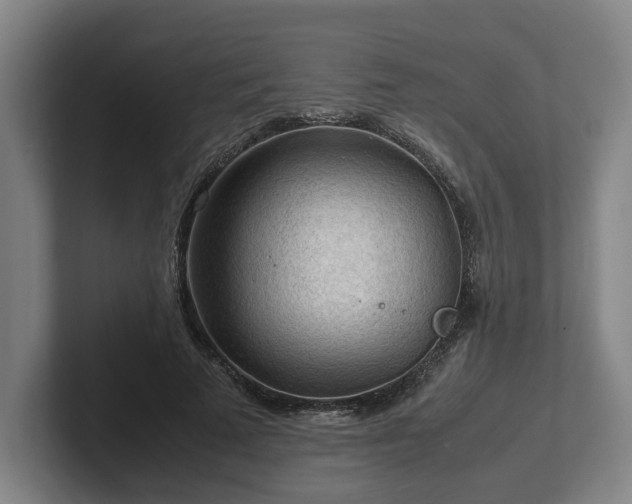 X0000101960689200807251155