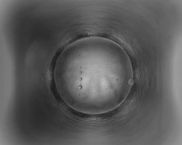 X0000101960691200807251155